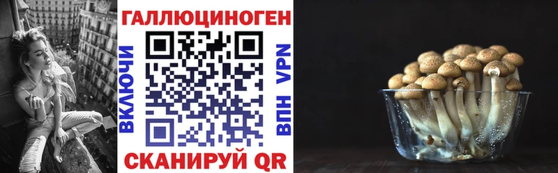 купить  сайты  блэк спрут онион  Псилоцибиновые грибы ЛСД  Туринск 